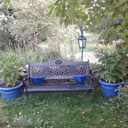 Agroturystyka W Ogrodach Σάνοκ Εξωτερικό φωτογραφία