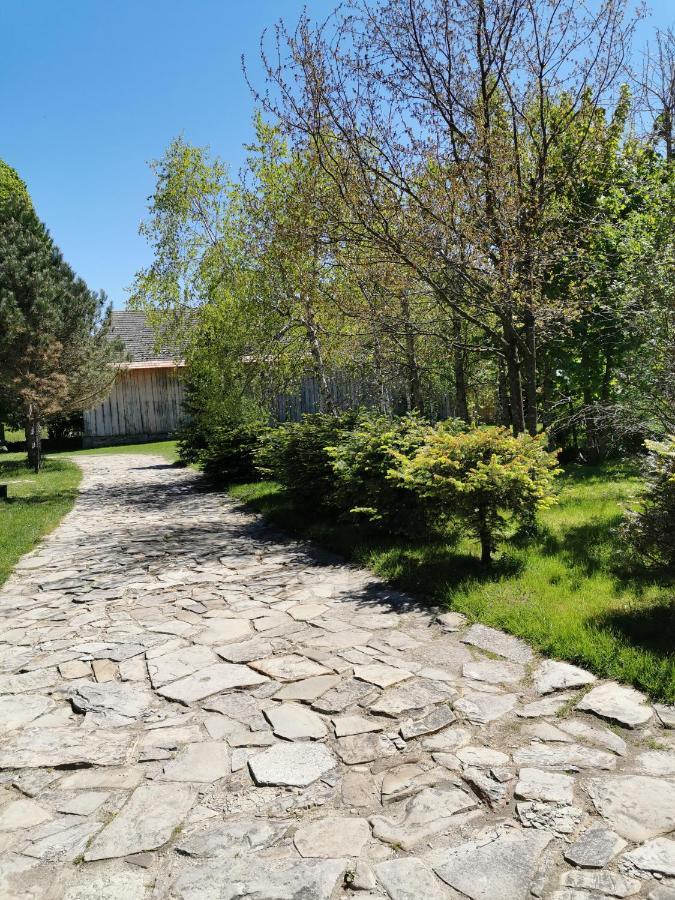 Agroturystyka W Ogrodach Σάνοκ Εξωτερικό φωτογραφία